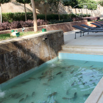 фото из отзыва ID 1124563