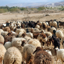 фото из отзыва ID 1124563