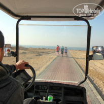 фото из отзыва ID 1124563