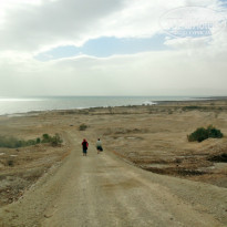 фото из отзыва ID 1124563