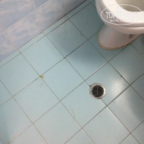 фото из отзыва ID 1124712