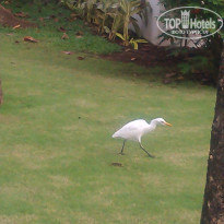 фото из отзыва ID 1124740