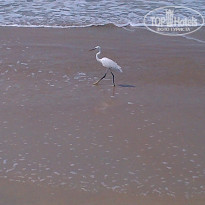 фото из отзыва ID 1124740