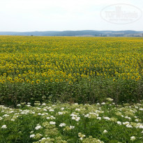 фото из отзыва ID 1124767