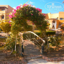 фото из отзыва ID 1124880