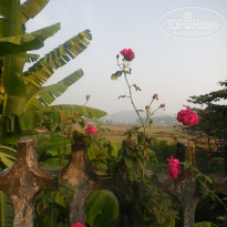 фото из отзыва ID 1124920