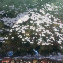 фото из отзыва ID 1125066