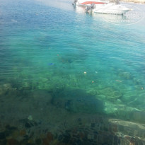 фото из отзыва ID 1125066