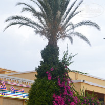 фото из отзыва ID 1125121