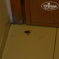 фото из отзыва ID 1125121