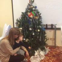 фото из отзыва ID 1125218