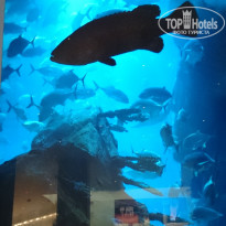 фото из отзыва ID 1125229