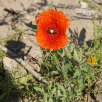 фото из отзыва ID 1125267