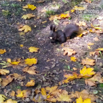 фото из отзыва ID 1125446