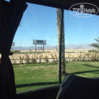 фото из отзыва ID 1125969