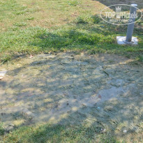 фото из отзыва ID 1125363