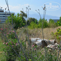 фото из отзыва ID 1125363