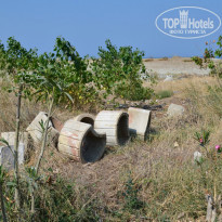 фото из отзыва ID 1125363