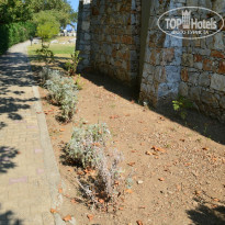 фото из отзыва ID 1125363