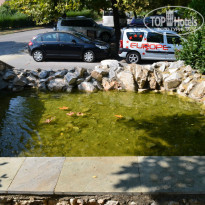 фото из отзыва ID 1125363