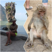 фото из отзыва ID 1126118