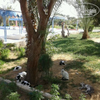 фото из отзыва ID 1126181