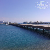 фото из отзыва ID 1126181