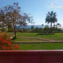 фото из отзыва ID 1125169