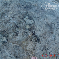 фото из отзыва ID 1126234