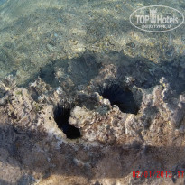 фото из отзыва ID 1126234