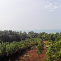 фото из отзыва ID 1126405