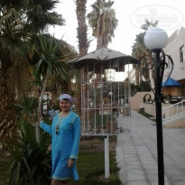 фото из отзыва ID 1126482