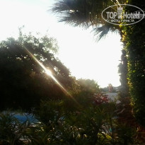 фото из отзыва ID 1126482