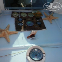 фото из отзыва ID 1126482