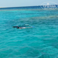 фото из отзыва ID 1126482