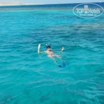 фото из отзыва ID 1126482