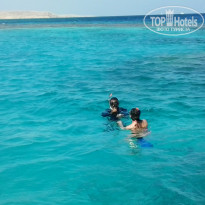 фото из отзыва ID 1126482