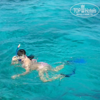 фото из отзыва ID 1126482