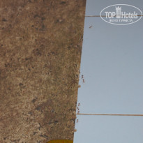 фото из отзыва ID 1126686