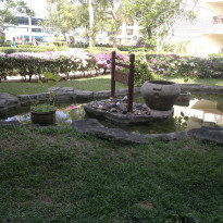 фото из отзыва ID 1126817