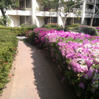 фото из отзыва ID 1126817