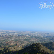 фото из отзыва ID 1126356