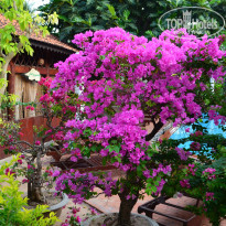 фото из отзыва ID 1126924