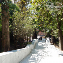 фото из отзыва ID 1127310