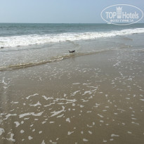 фото из отзыва ID 1127318