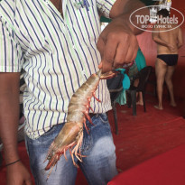 фото из отзыва ID 1127318