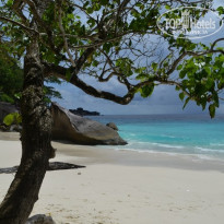 фото из отзыва ID 1127422