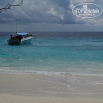 фото из отзыва ID 1127422