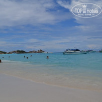 фото из отзыва ID 1127422