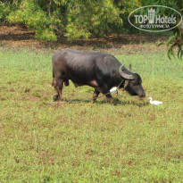 фото из отзыва ID 1127602